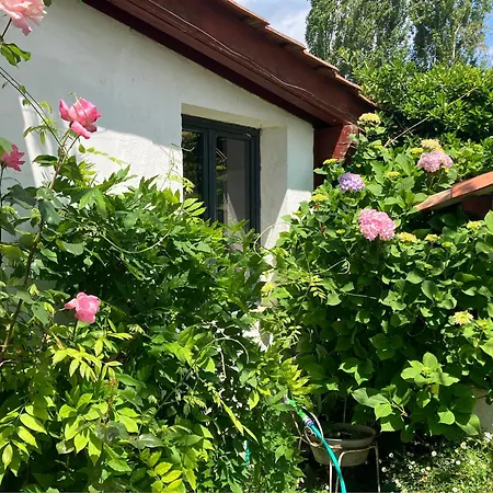 Ancienne Maison Basque Au Calme Au Pied De La Rhune アパート サール